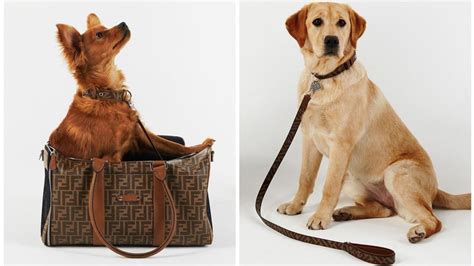 Fendi’s new luxury pet travel collection is a must.